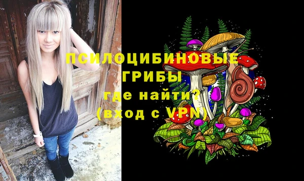 apvp Беломорск
