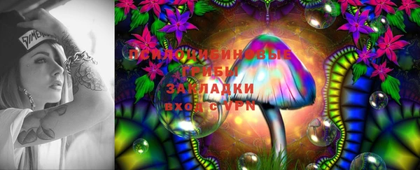 apvp Беломорск