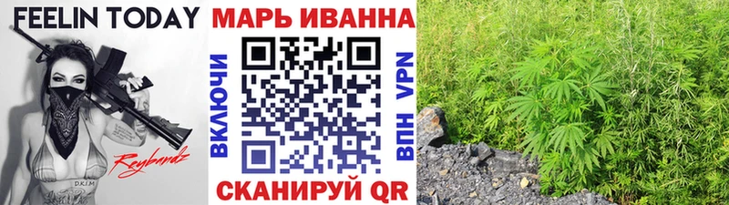 shop как зайти  Острогожск  Бошки Шишки THC 21% 